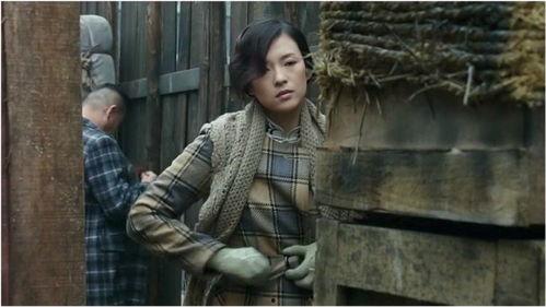 剧情国产,国破山河在