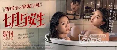 女同国产,揭秘全球女性同性恋文化的独特魅力