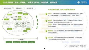 国产21页,揭秘我国科技发展的新篇章